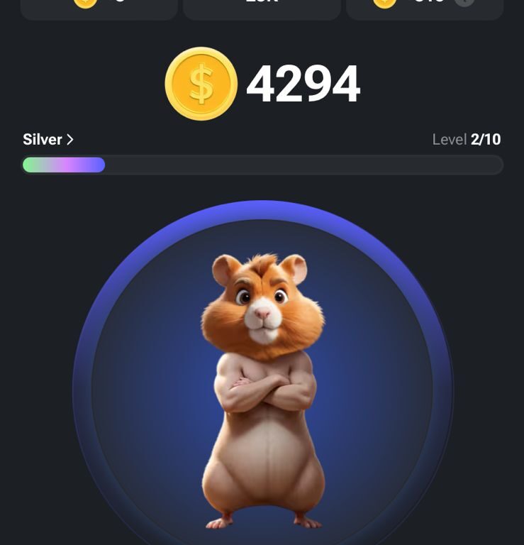 Como funciona Hámster Kombat 🐹