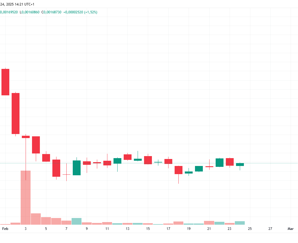 ¡HMSTR se mantiene fuerte y sigue creciendo!